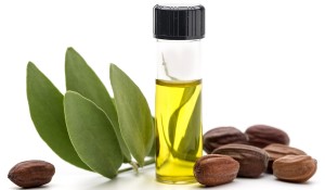 Dầu Jojoba – Chút dịu dàng cho làn da và mái tóc mềm mượt