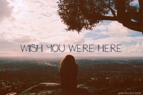 Hi vọng, niềm hi vọng lớn lao, gieo cho nó niềm hi vọng